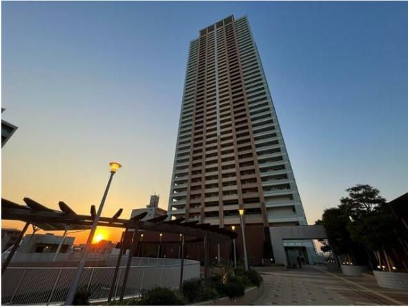 市川市市川南１