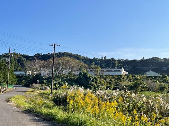 長生郡長南町坂本387-1