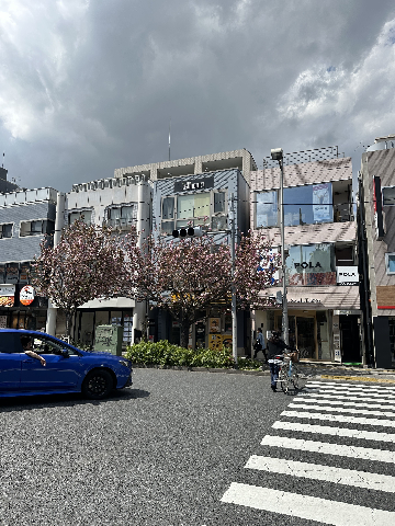 世田谷区桜新町2-10-2