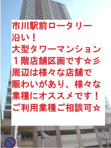 市川市市川南１