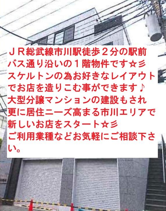 市川市市川南１