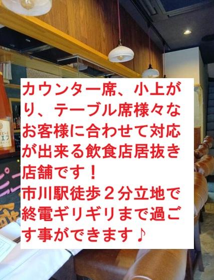 市川市市川南１